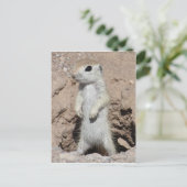 Power Ranger Squirrel Briefkaart (Staand voorkant)