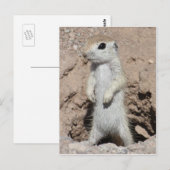Power Ranger Squirrel Briefkaart (Voorkant / Achterkant)