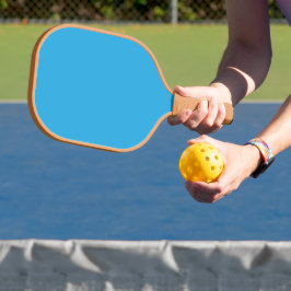 Power vs. Control Pickleball Paddle