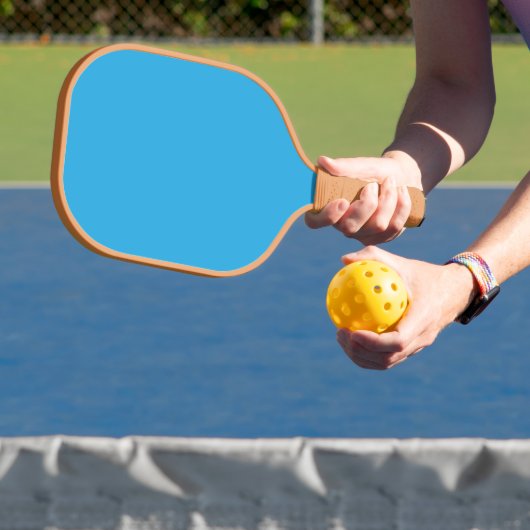 Power vs. Control Pickleball Paddle (Insitu)