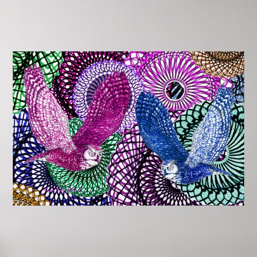 Powerful Owls Poster (Voorkant)