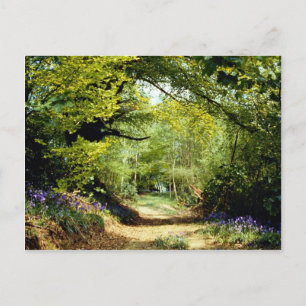 Powerhill Woodlands Battle, East Sussex, Engeland Briefkaart