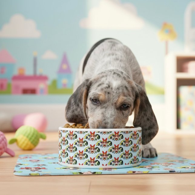 powerpuff girls Bowl Voerbakje (Creator heeft geüpload)