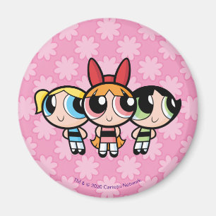 Powerpuff Girls: Suiker, specerijen en alles wat N Magneet