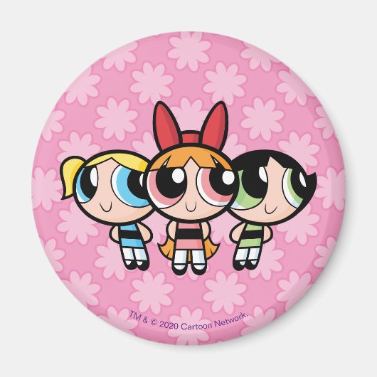 Powerpuff-meisjes: suiker, specerijen en alles wat magneet (Voorkant)