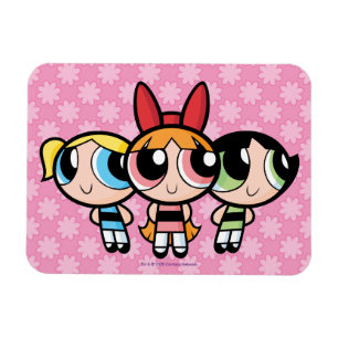 Powerpuff-meisjes: suiker, specerijen en alles wat magneet