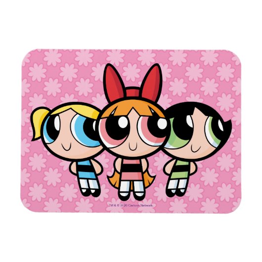 Powerpuff-meisjes: suiker, specerijen en alles wat magneet (Horizontaal)
