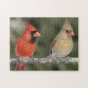 Pozzle voor noordelijke foto's legpuzzel