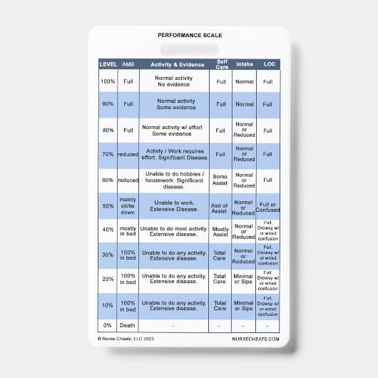 PPS / KPS Badge Buddy voor Hospice Verpleegkundige (Voorkant)