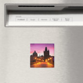 Praag 003A Magneet (Insitu (Vaatwasser))