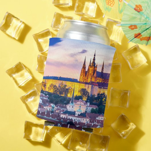 Praag Blikjeskoeler (Insitu Zomer)