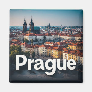 Praag Stad Reis Herinnering Magneet