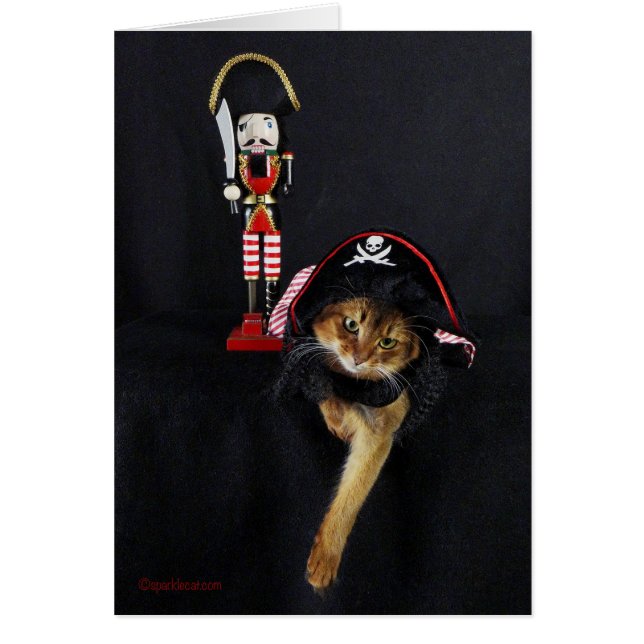 Praat als een piratendag Somalische kat (Voorkant)