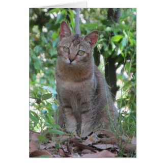 Praat je tegen me? - TBD-serie