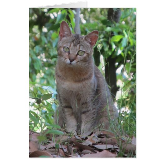 Praat je tegen me? - TBD-serie (Voorkant)