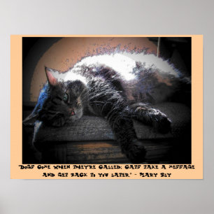 Praat later met u met Mary Bly quote Poster