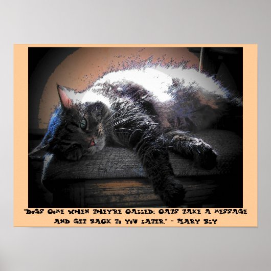 Praat later met u met Mary Bly quote Poster (Voorkant)