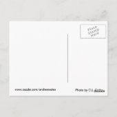 Praat met de dieren briefkaart (Achterkant)