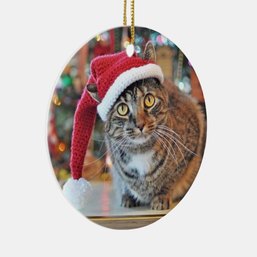 Praat met de Paw 2015-kerstversiering (ontwerp 2) Keramisch Ornament (Rechts)