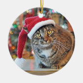 Praat met de Paw 2015-kerstversiering (ontwerp 2) Keramisch Ornament (Voorkant)