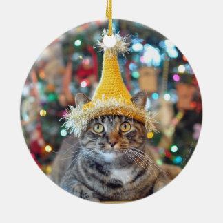 Praat met de Paw 2015-kerstversiering (ontwerp 2) Keramisch Ornament