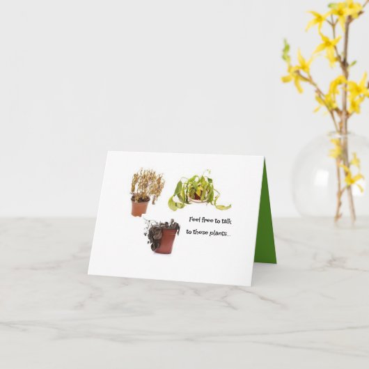 Praat met de Planten Kaart (Gele Bloem)