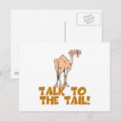 Praat met de Tail Camel Briefkaart (Voorkant / Achterkant)