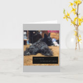 Praat met de Tail Kaart (Gele Bloem)