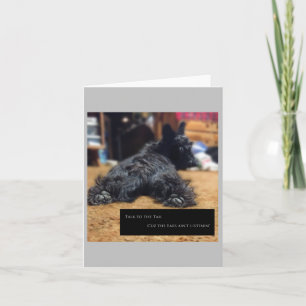 Praat met de Tail-kaart Kaart