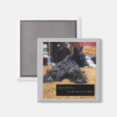 Praat met de Tail Magneet (Voorkant / Achterkant)