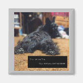 Praat met de Tail Magneet (Voorkant)