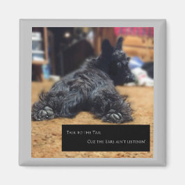 Praat met de Tail Magneet