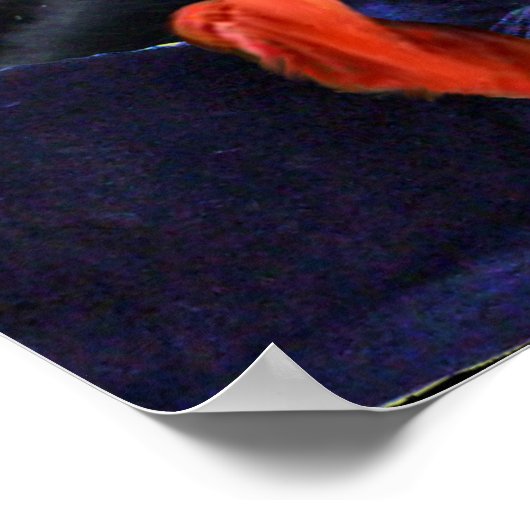 PRAAT PIRATENKATten EN SCHIP IN DE ZEE STORM Poster (Hoek)