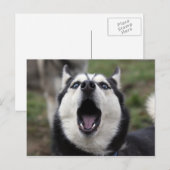 praatziek briefkaart (Voorkant / Achterkant)