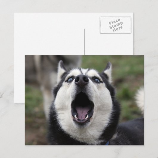 praatziek briefkaart (Voorkant / Achterkant)