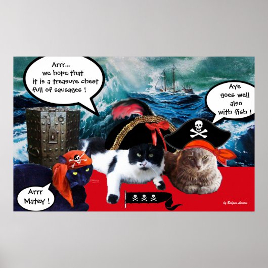 PRAATZIENDE PIRATENKATten EN SCHIP IN DE ZEESTORM Poster (Voorkant)