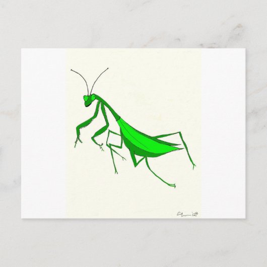 Prabying Mantis Products Briefkaart (Voorkant)