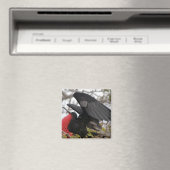 Prachtfregatvogel Magneet (Insitu (Vaatwasser))