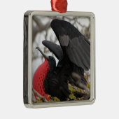 Prachtfregatvogel Metalen Ornament (Rechts)