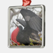 Prachtfregatvogel Metalen Ornament (Links)
