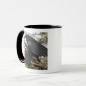 Prachtfregatvogel Mok (Voorkant links)