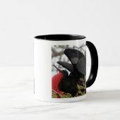 Prachtfregatvogel Mok (Voorkant rechts)