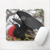 Prachtfregatvogel Muismat (Met muis)