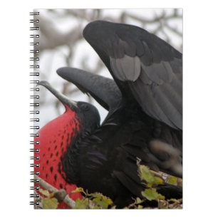 Prachtfregatvogel Notitieboek