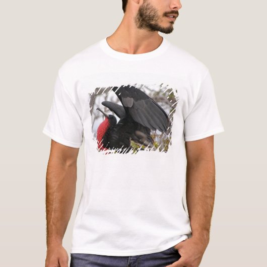 Prachtfregatvogel T-shirt (Voorkant)