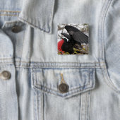 Prachtfregatvogel Vierkante Button 5,1 Cm (In situ)