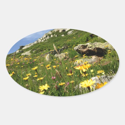 Prachtig! Alpiene bloemen Ovale Sticker (Voorkant)