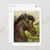 prachtig antiek schilderij briefkaart (Voorkant / Achterkant)