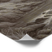 Prachtig artistiek middeleeuws landschap poster (Hoek)