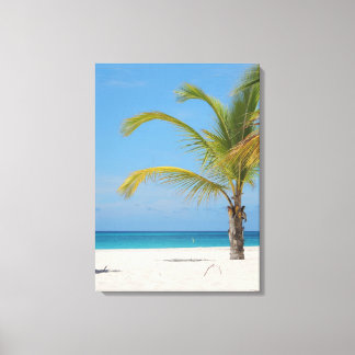 Prachtig Aruba Canvas Afdruk